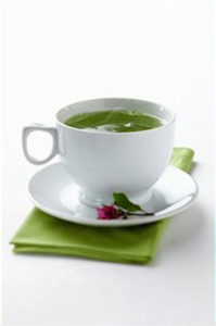 kelor, daun kelor, teh daun kelor, manfaat teh kelor, khasiat teh kelor