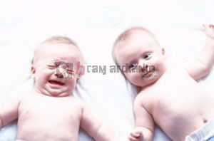 bayi kembar, hamil bayi kembar