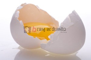 Telur, Telur Mentah
